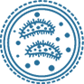 Bacterial Culture